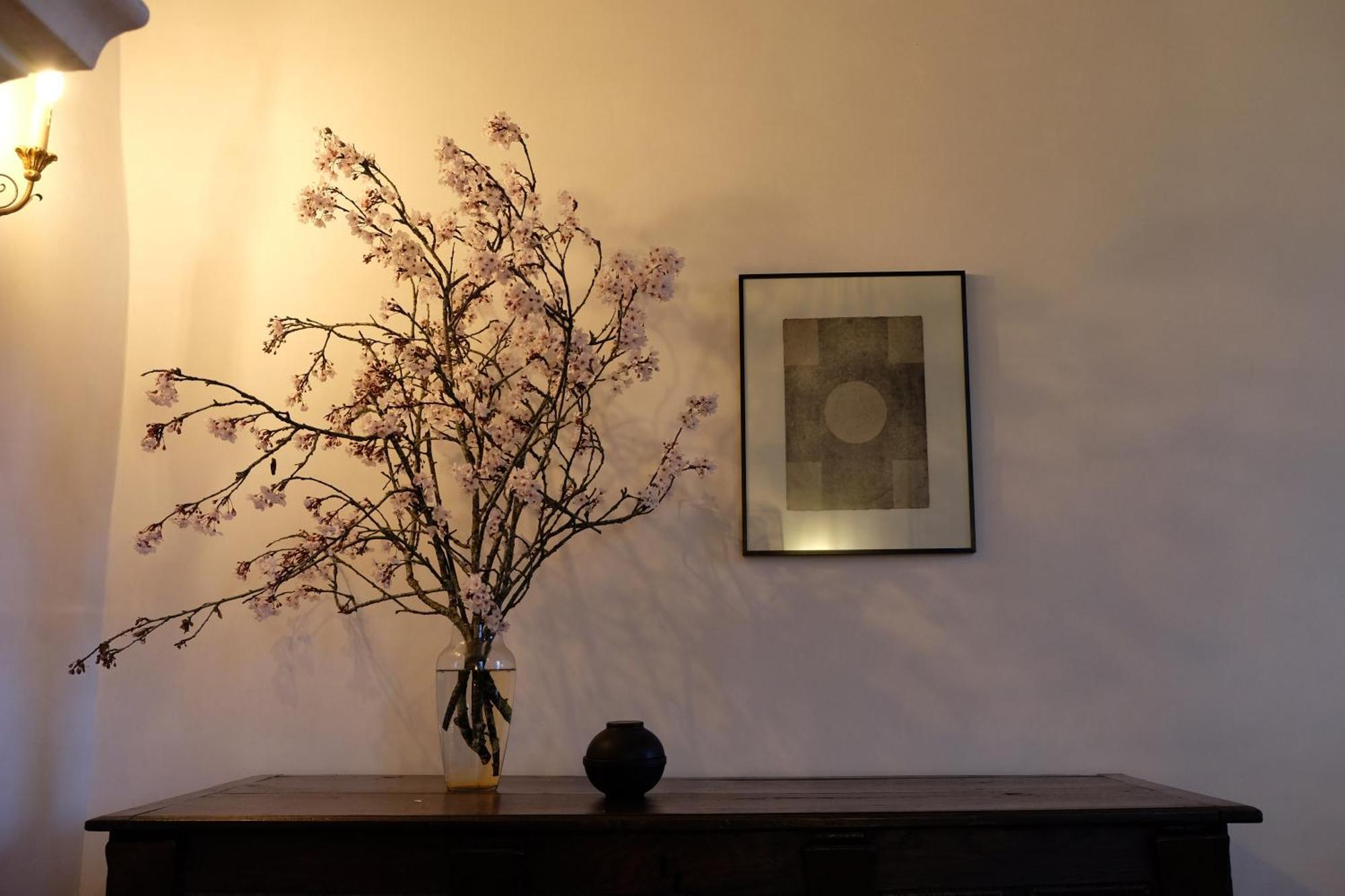 Chateau De La Tour En Brenne Bed & Breakfast Rivarennes (Indre)