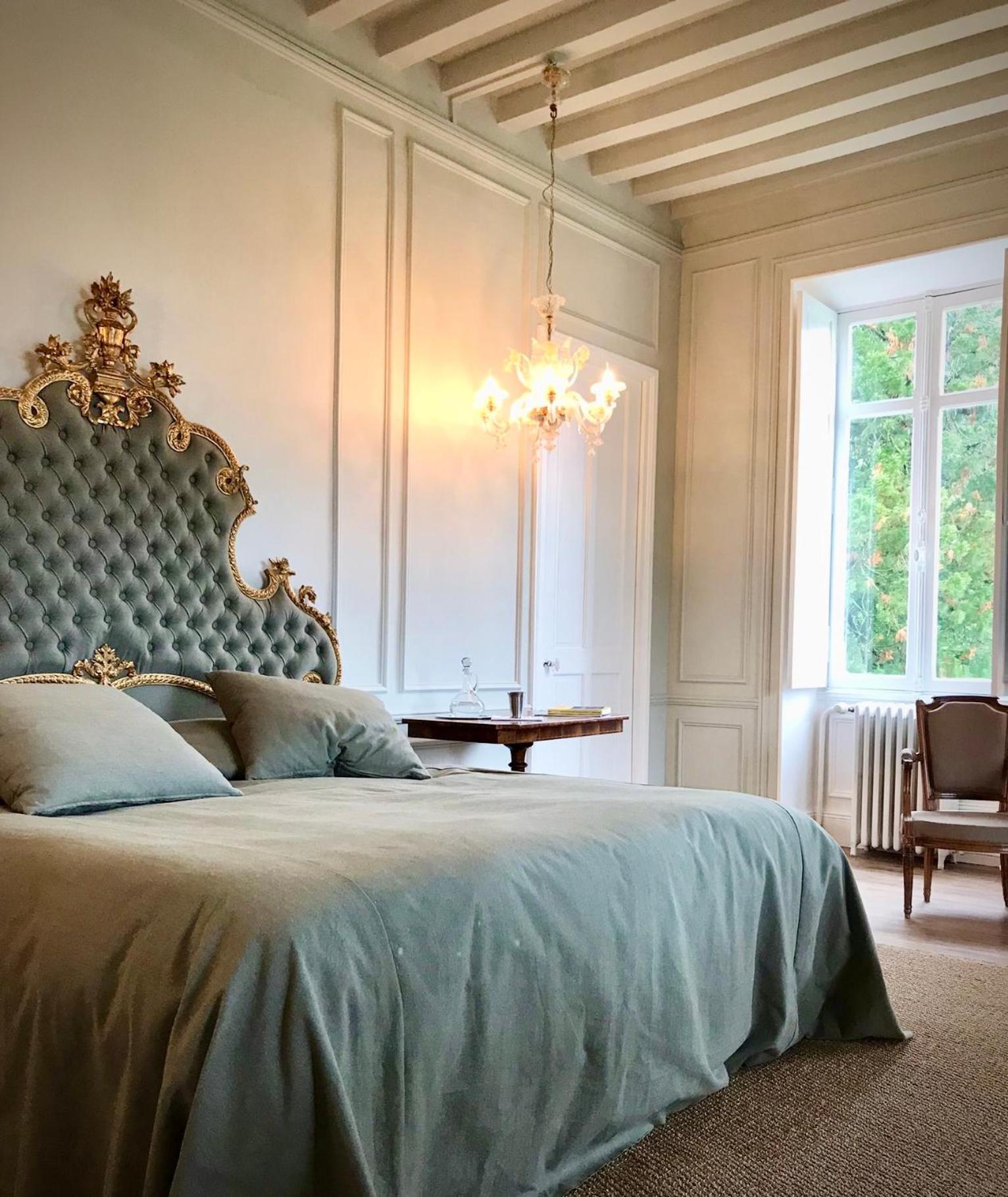Chateau De La Tour En Brenne *