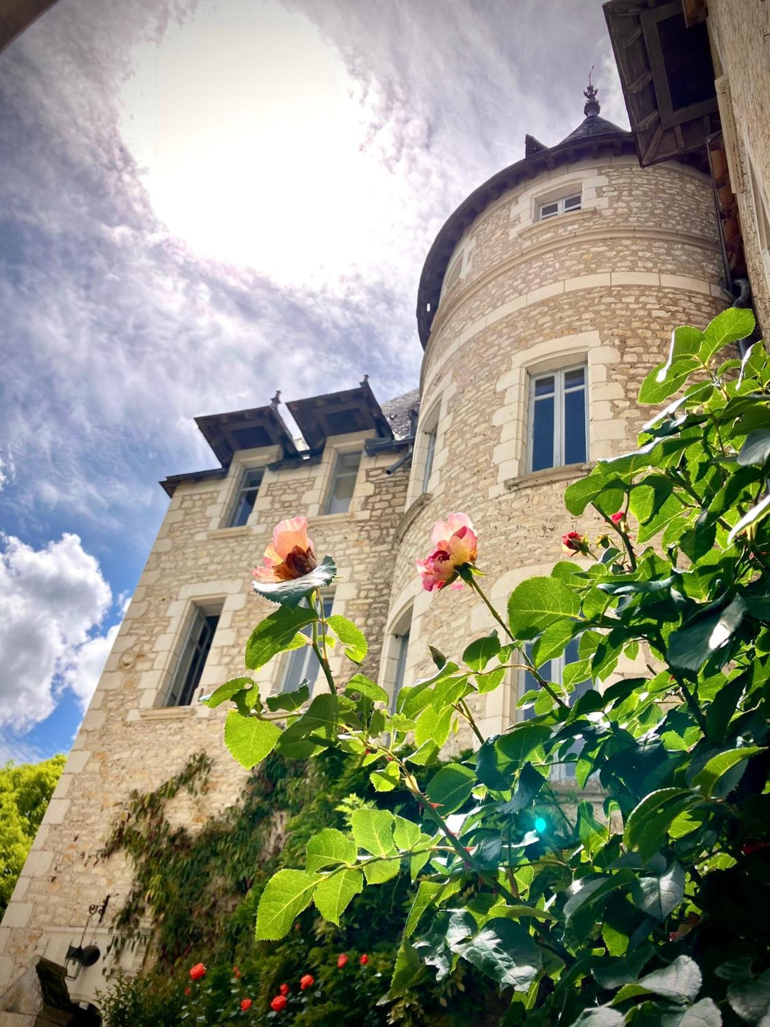 Chateau De La Tour En Brenne *